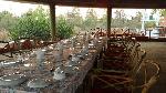 Bastar Jungle Resort